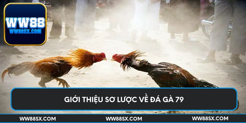 Giới thiệu sơ lược về đá gà 79