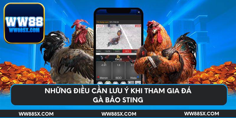 Những điều cần lưu ý khi tham gia đá gà Bảo Sting