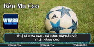 ty-le-keo-ma-cao-ca-cuoc-hap-dan-voi-ty-le-thang-cao